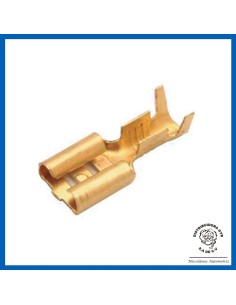 TERMINAL HEMBRA 1/4 GDE
